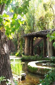 Dunn patio, pond