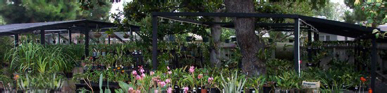 greenhouses